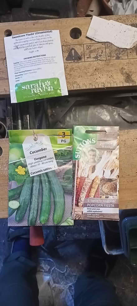 Photo of free Seeds, surplus to requirements (Preston PR1) #1