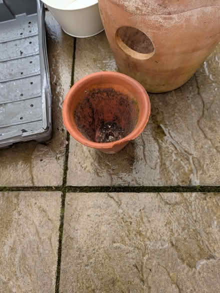 Photo of free Garden pots (Appleby-in-Westmorland CA16) #3