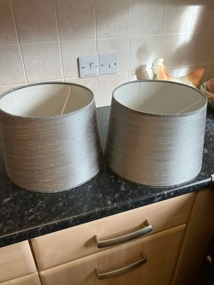 Photo of free 2 grey light shades (Basingstoke) #1