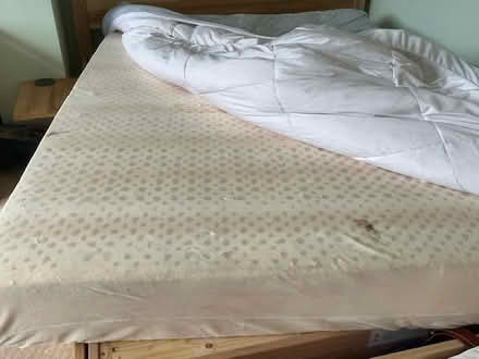 Photo of free Latex double mattress (London NW3 7QL) #1