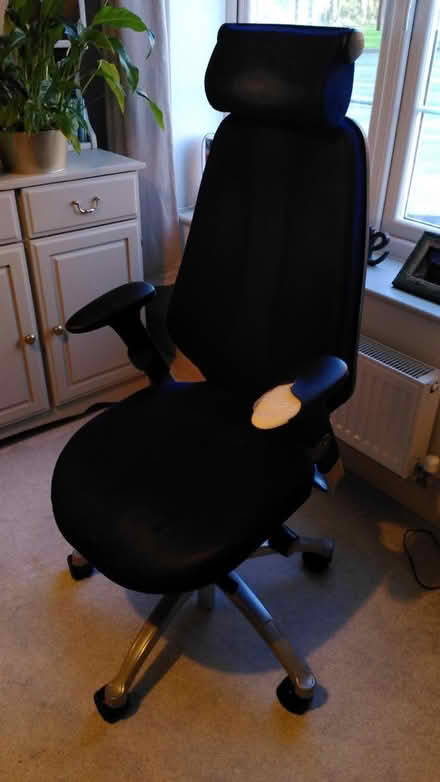 Photo of free Ergonomic office chair (GU12 Ash Green) #1