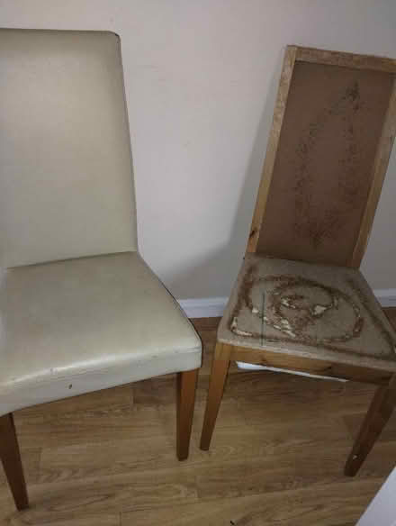 Photo of free M&S dining chairs (Irby CH61) #1