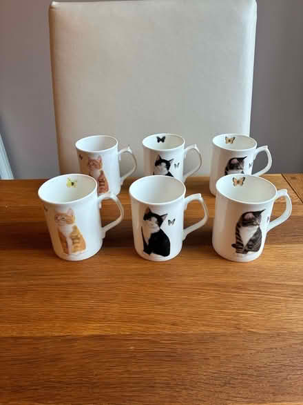 Photo of free 12 Fine China Cat Mugs (Braintree CM7) #2