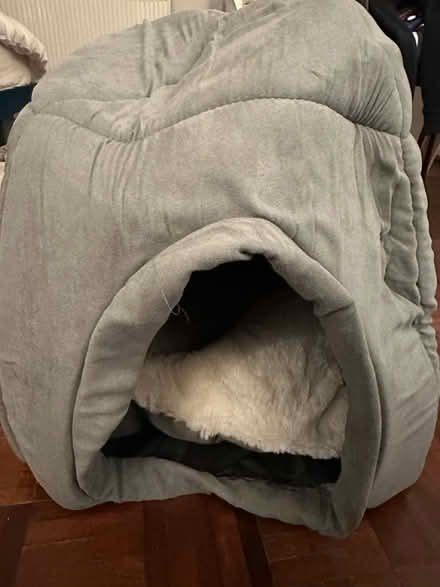 Photo of free Igloo bed for small dog or cat (Highbury N5) #1