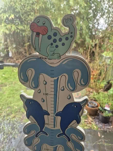 Photo of free Kids height chart (Altrincham WA15) #2