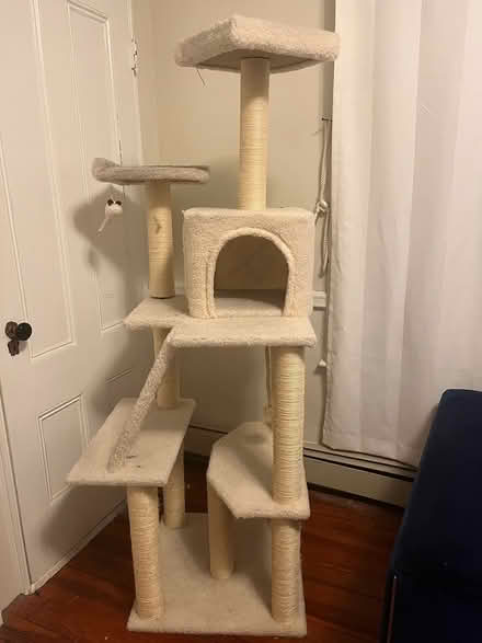 Photo of free Cat Accessories (Sudbury) #2