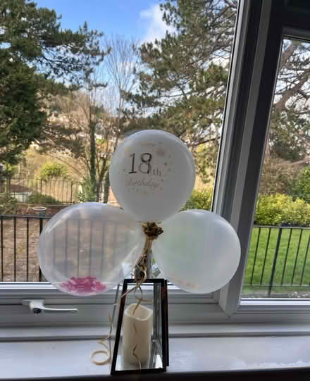 Photo of free 15x pink/white/red balloons (Entry Hill BA2) #2