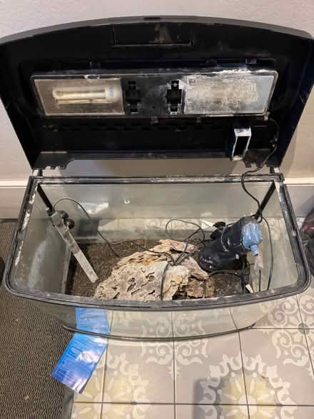 Photo of free Tropical fish tank and equipment (Gospel Oak NW3) #2
