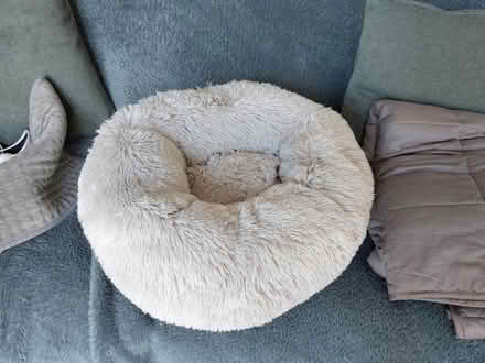 Photo of free Grey fluffy cat bed (Bedford MK42) #1