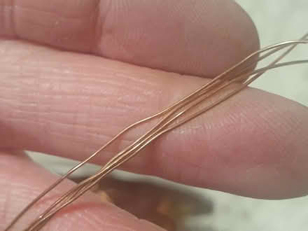 Photo of free Thin copper wire (Adel LS16) #2