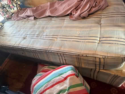 Photo of free Single bed (The Meadows NG2) #2