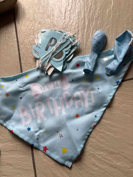 Photo of free Doggie birthday bandana and banners (S80 3) #1