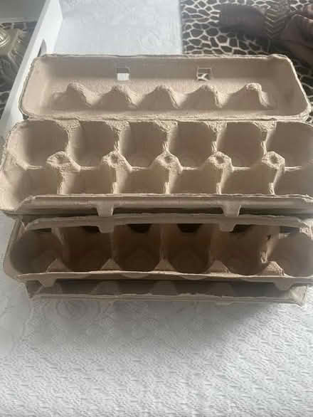 Photo of free Egg boxes (Kanata) #1