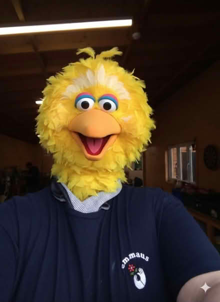 Photo of free Big Bird Costume (Dunstable LU6) #1