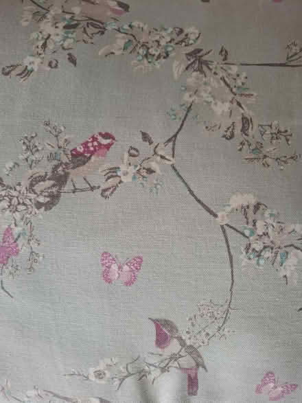 Photo of free 4 cushions (ME20) #3