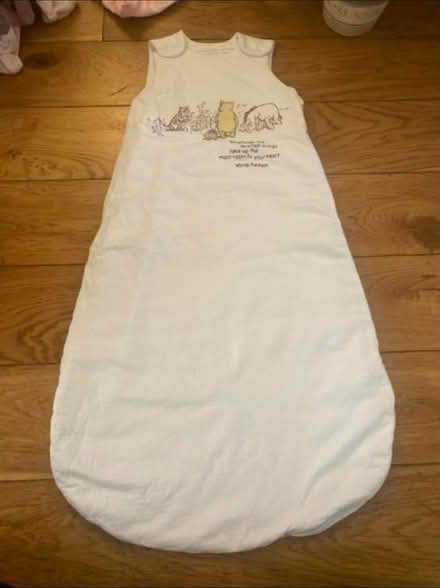 Photo of free Winnie the Pooh sleep sack (Cheshunt En8) #1