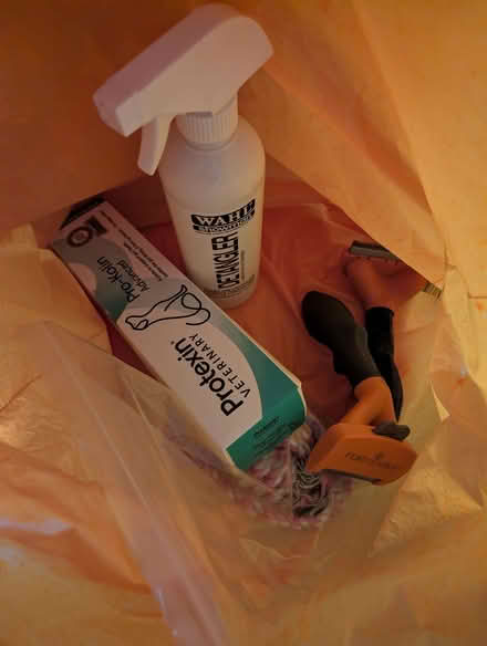 Photo of free Dog stuff for a medium-large dog (Streatham SW16) #1