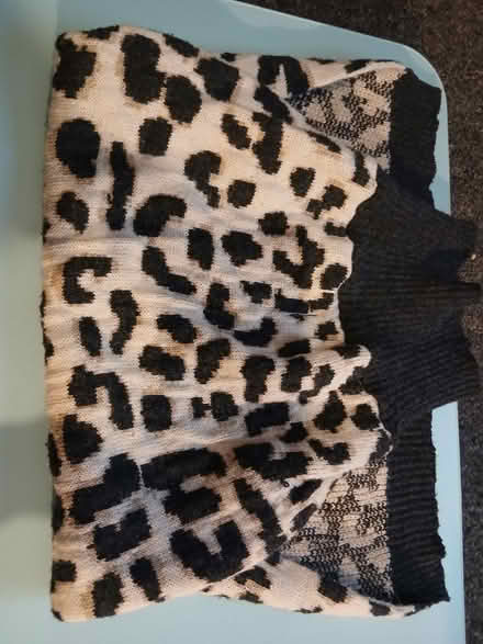 Photo of free Xl dog coat (Weeke SO22) #1