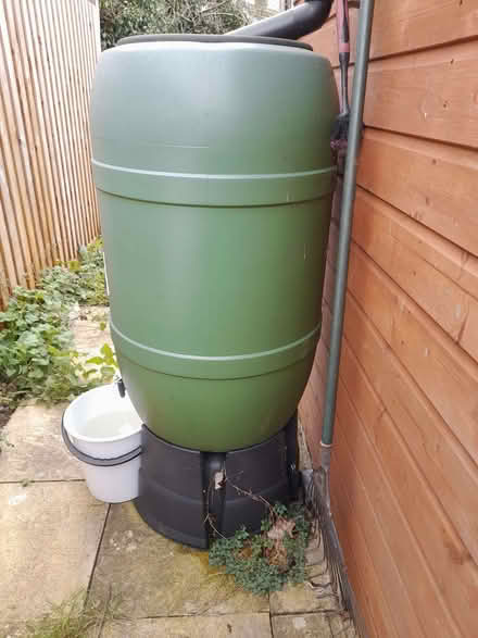 Photo of free 200 l rain water butt (Stisted CM77) #3