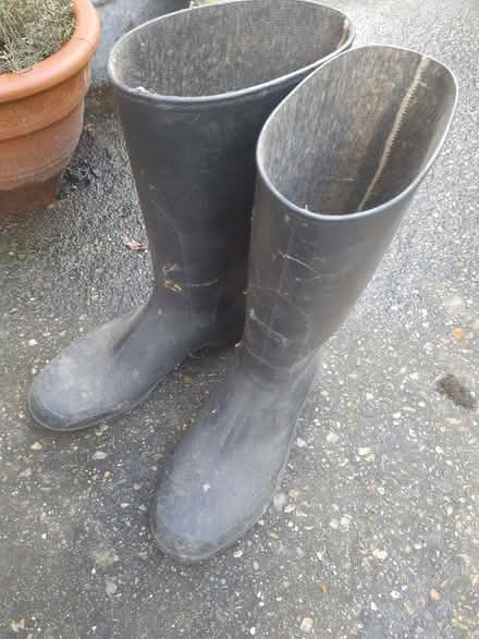 Photo of free Black wellies (GU12) #1