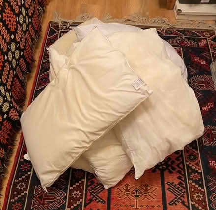 Photo of free 7 old pillows (Cradoc LD3) #1