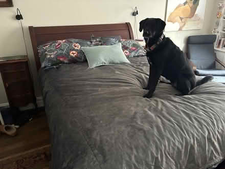 Photo of free Pottery Barn Queen Sleigh Bed (Upper West Side on 75th St.) #1