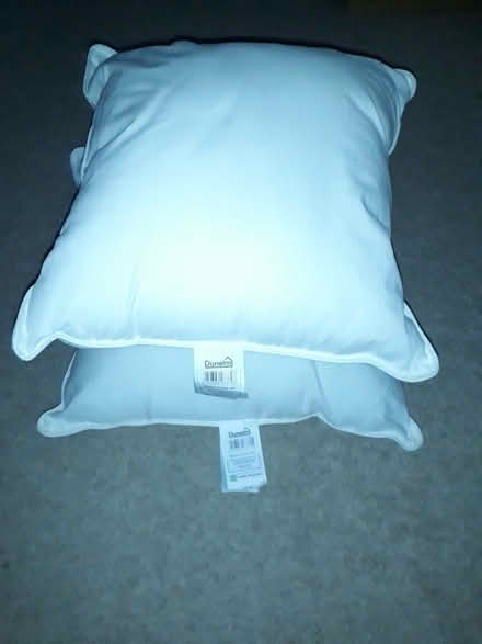Photo of free 2 x Dunelm cushions (Moortown LS17) #1