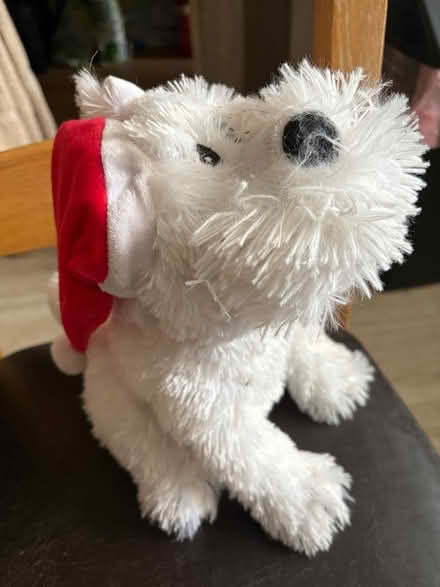 Photo of free Singing Xmas dog (Rubery B45) #1