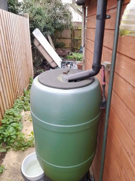 Photo of free 200 l rain water butt (Stisted CM77) #2