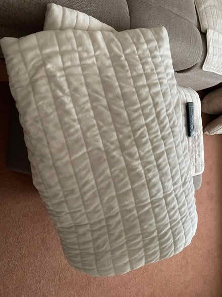 Photo of free Fleecy zip up double mattress cover (Dunstable) #1