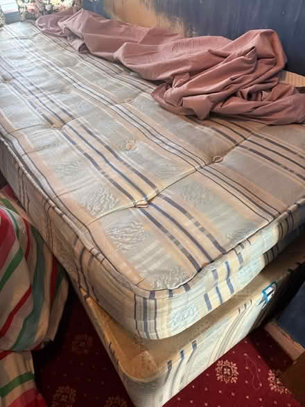 Photo of free Single bed (The Meadows NG2) #1