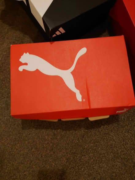 Photo of free Shoes boxes (Drum Brae EH4) #2