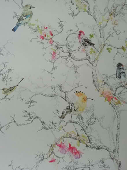 Photo of free Wallpaper (Quinton B68) #2