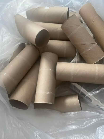 Photo of free T Rolls for crafts (Kanata) #1