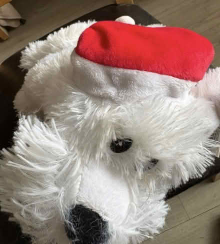 Photo of free Singing Xmas dog (Rubery B45) #3