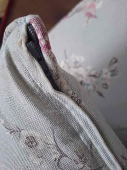 Photo of free 4 cushions (ME20) #2