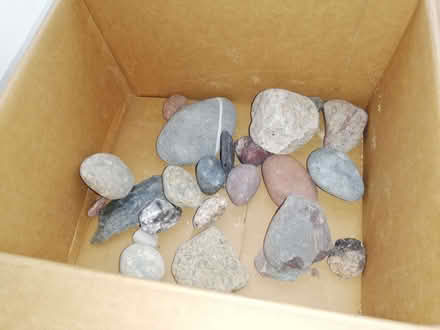 Photo of free Stones (garden decorations) (Bradleys Both BD20) #2