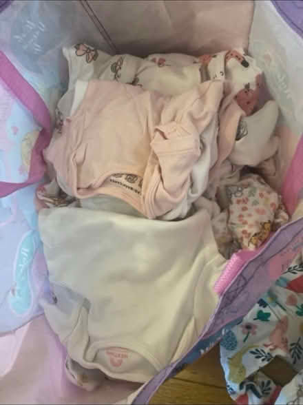 Photo of free Large Baby Girl Bundle Age 0-3 (Cheshunt En8) #2