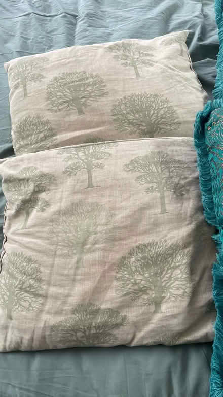 Photo of free 4 cushions (Taffs Well CF15) #2