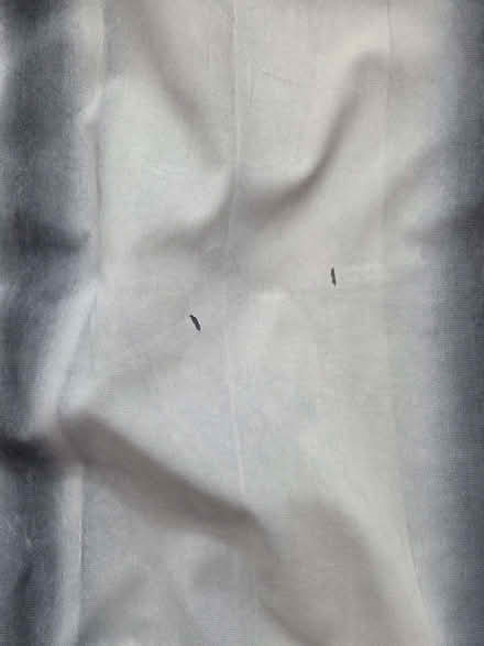 Photo of free Blue Eyelet Curtains (Barkingside IG5) #4