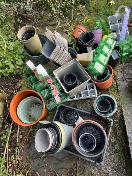 Photo of free Plastic Plant Pots (BD18) #1