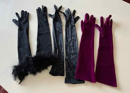 Photo of free Opera Gloves (Cox Green SL6) #1