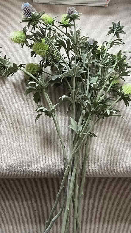 Photo of free Faux flowers (Radlett WD7) #2