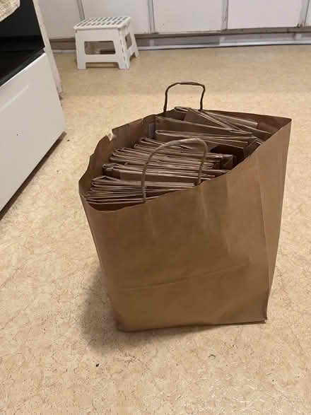 Photo of free Bag of Paper bags with handles (Hintonburg) #1