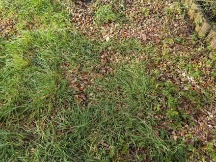 Photo of free Gravel (Syon Lane TW7) #2