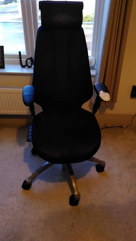 Photo of free Ergonomic office chair (GU12 Ash Green) #2