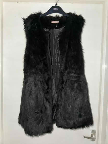 Photo of free Faux fur gilet (Lambeth SW8) #1