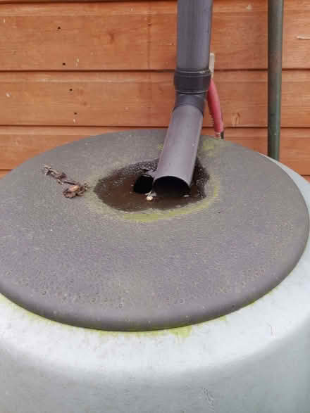 Photo of free 200 l rain water butt (Stisted CM77) #1