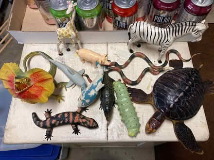 Photo of free Rubber Animals (New Market) #1