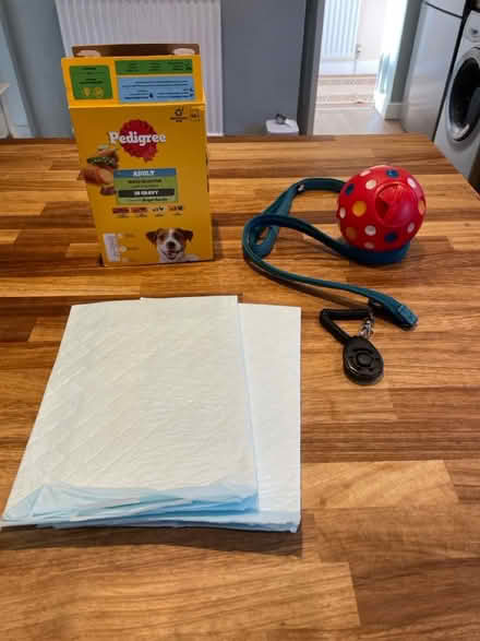 Photo of free Dog items (ware SG12) #1